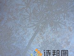 中國(guó)新型環(huán)保建材--買優(yōu)惠的綠色建材,就來詩(shī)邦圖-詩(shī)邦圖(中國(guó))品牌運(yùn)營(yíng)總部提供中國(guó)新型環(huán)保建材--買優(yōu)惠的綠色建材,就來詩(shī)邦圖的相關(guān)介紹、產(chǎn)品、服務(wù)、圖片、價(jià)格肌理漆、肌理壁膜、福建肌理漆、肌理壁膜漆代理、硅藻泥廠家、肌理液體壁紙、